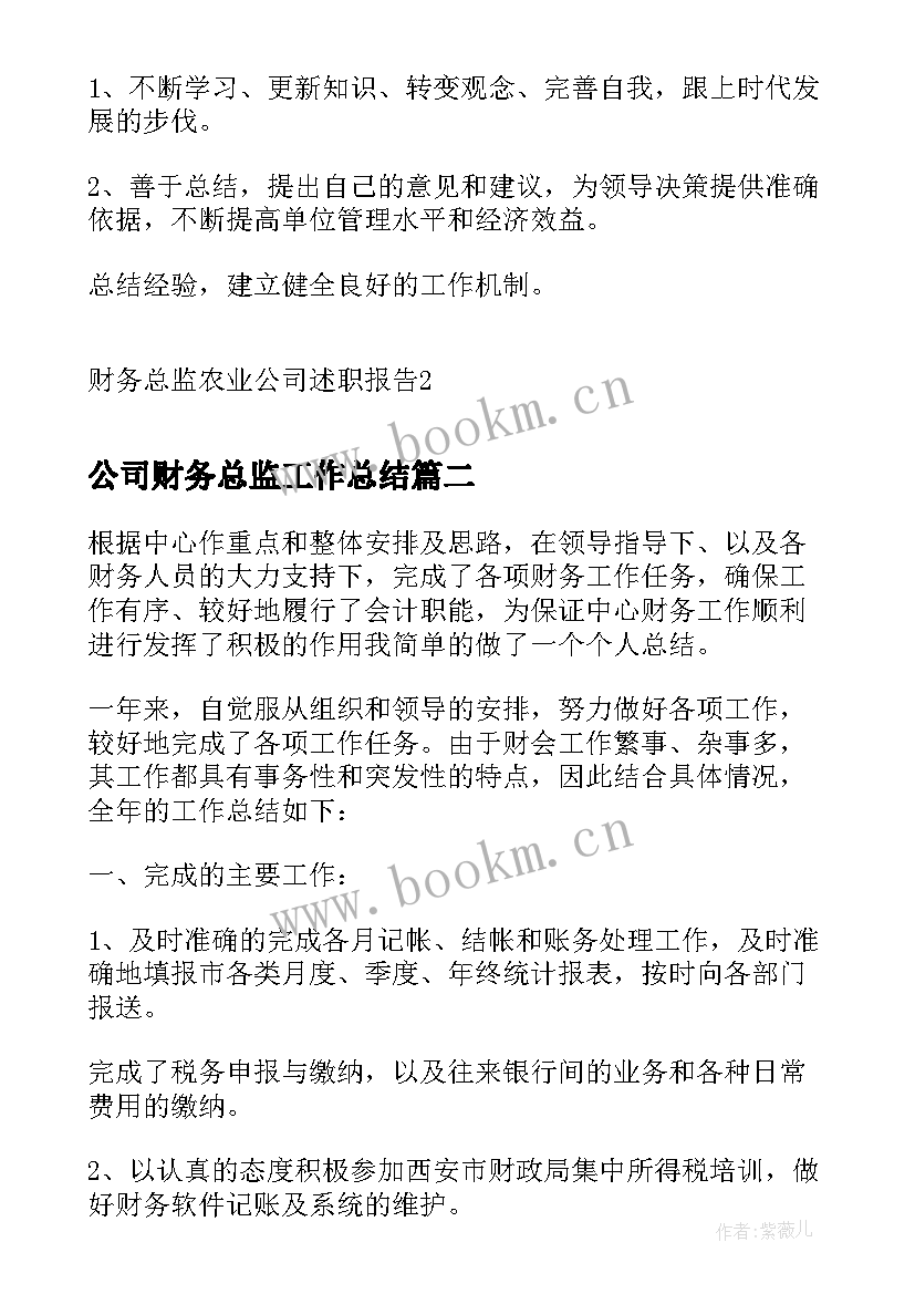 公司财务总监工作总结 财务总监农业公司述职报告(优质7篇)