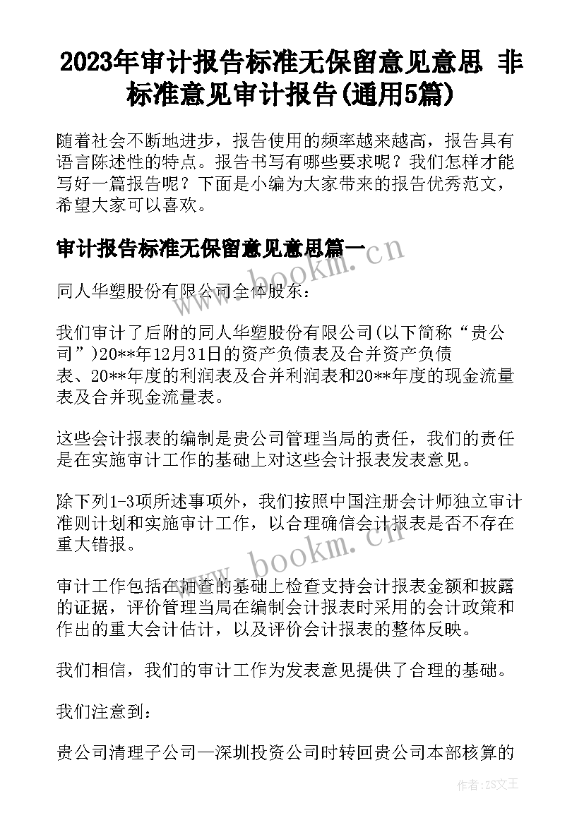 2023年审计报告标准无保留意见意思 非标准意见审计报告(通用5篇)