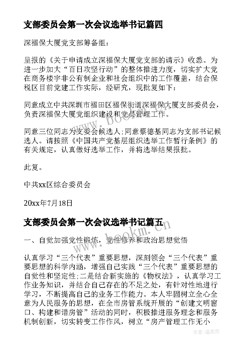 2023年支部委员会第一次会议选举书记(优秀10篇)