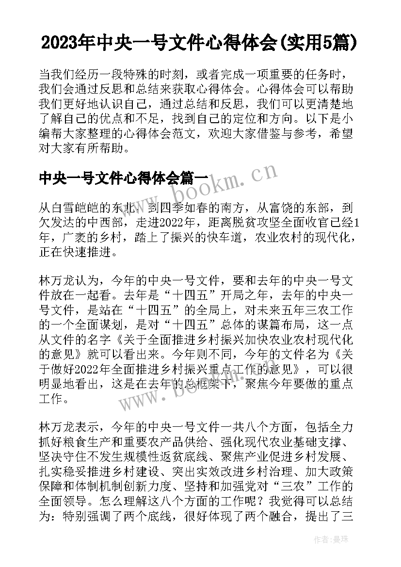 2023年中央一号文件心得体会(实用5篇)