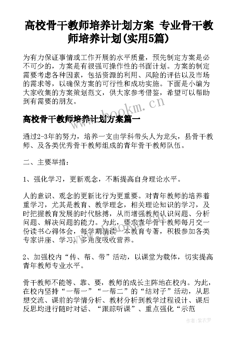 高校骨干教师培养计划方案 专业骨干教师培养计划(实用5篇)