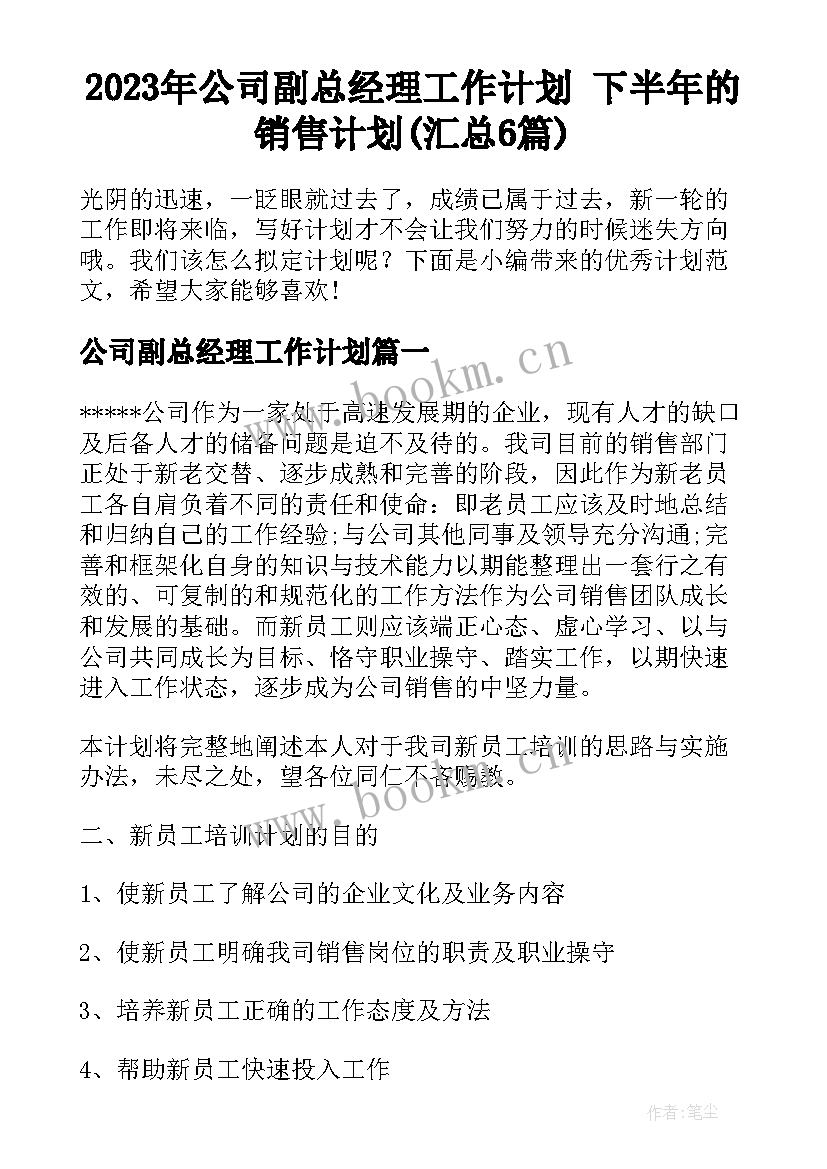 2023年公司副总经理工作计划 下半年的销售计划(汇总6篇)