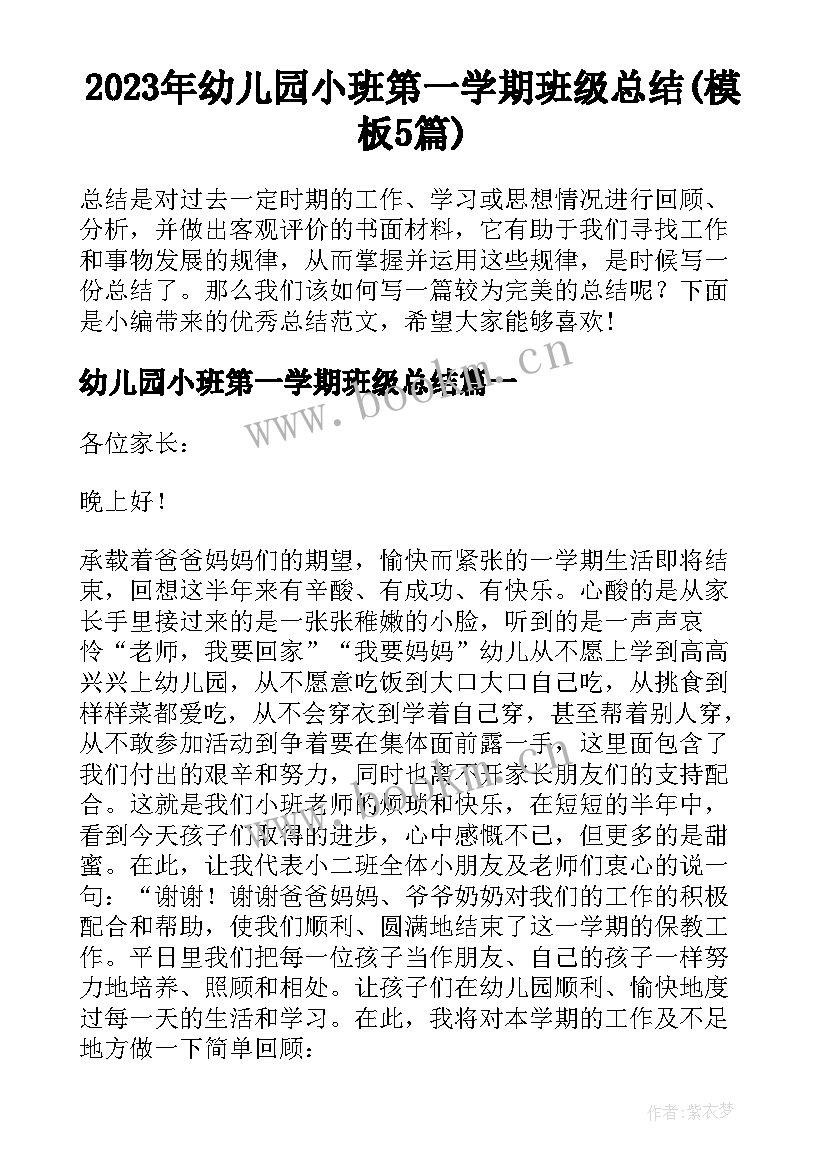 2023年幼儿园小班第一学期班级总结(模板5篇)