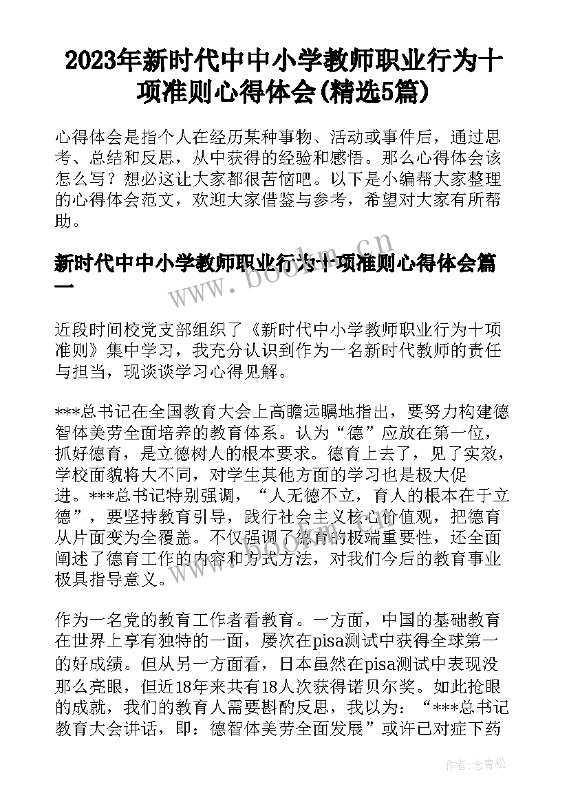 2023年新时代中中小学教师职业行为十项准则心得体会(精选5篇)