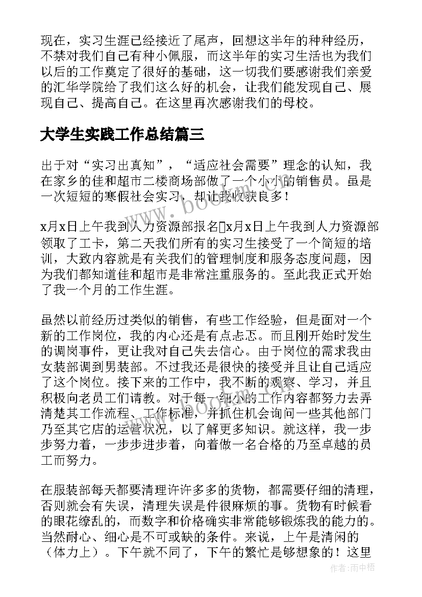 最新大学生实践工作总结(大全8篇)