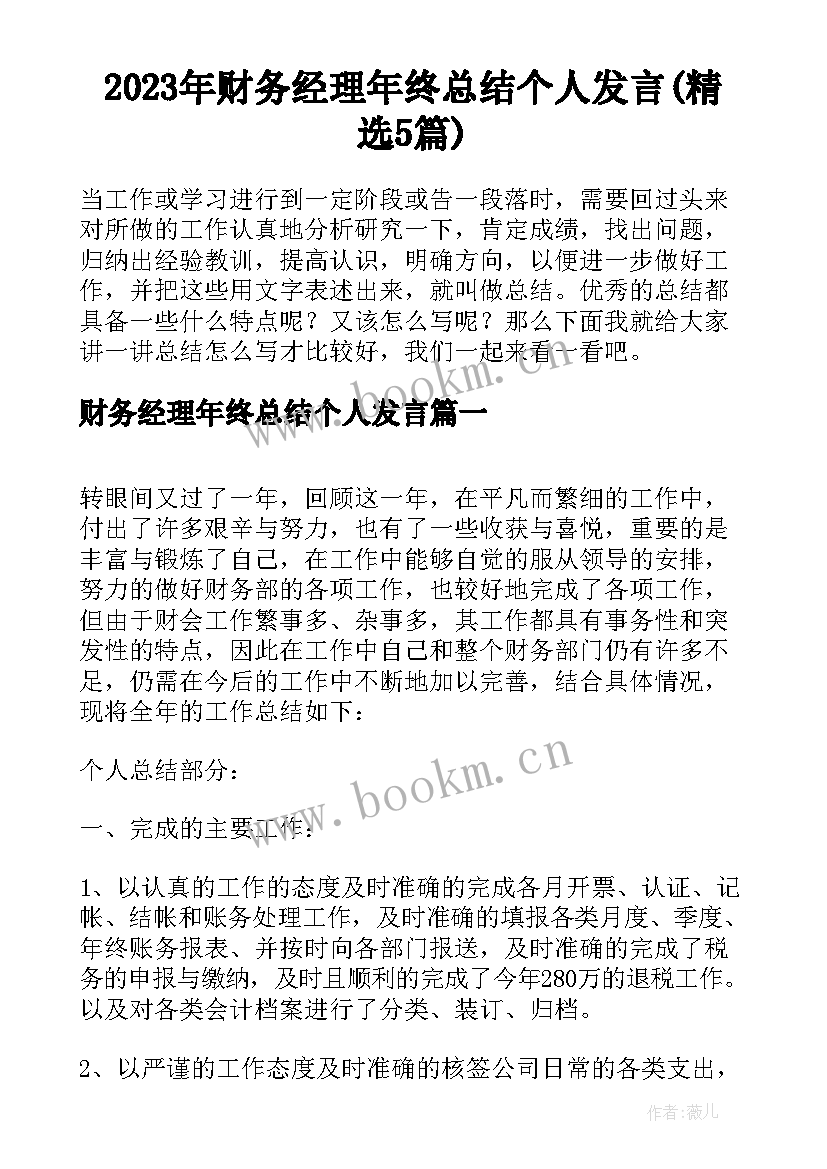 2023年财务经理年终总结个人发言(精选5篇)