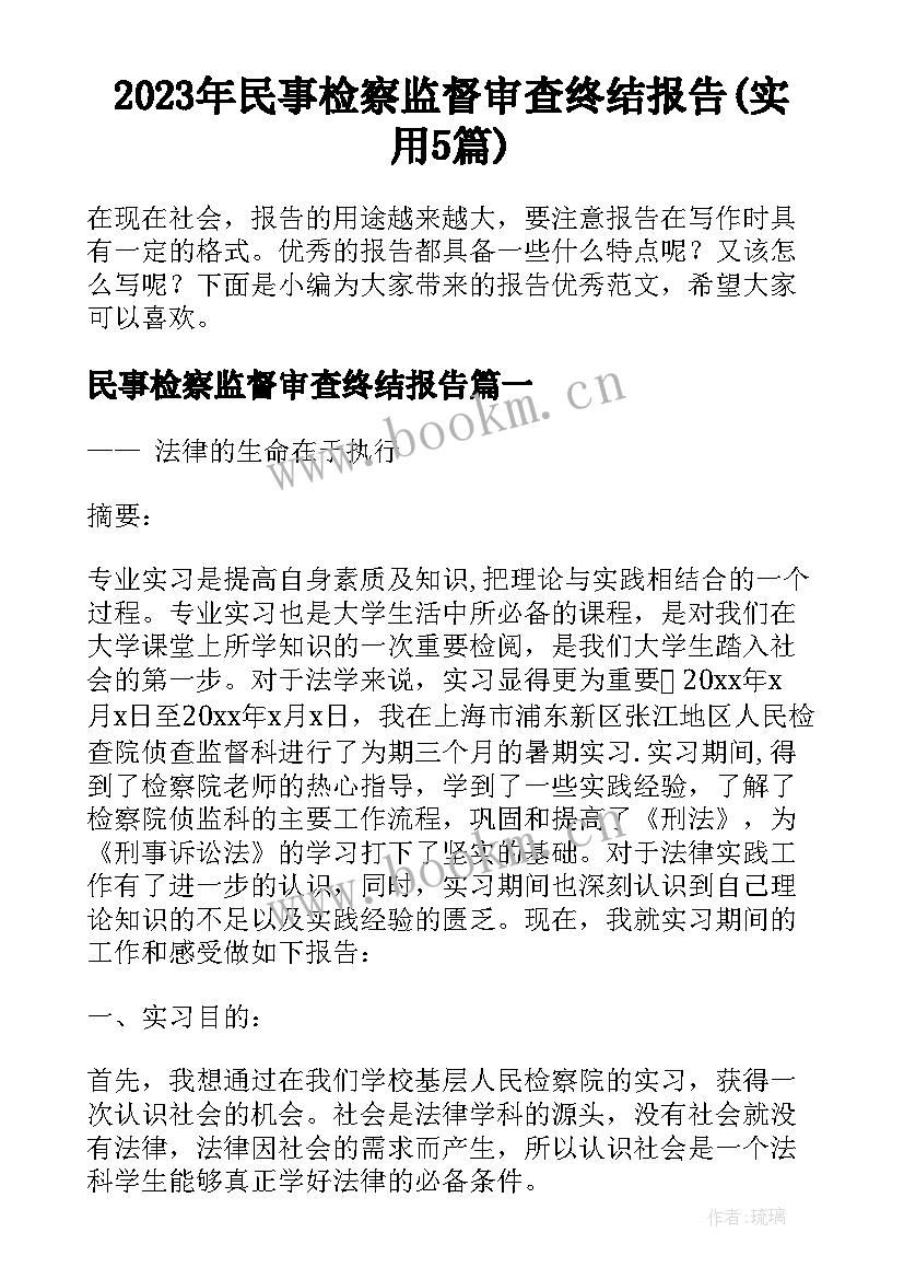 2023年民事检察监督审查终结报告(实用5篇)