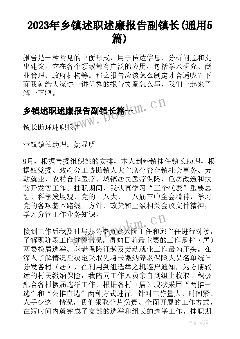 2023年乡镇述职述廉报告副镇长(通用5篇)