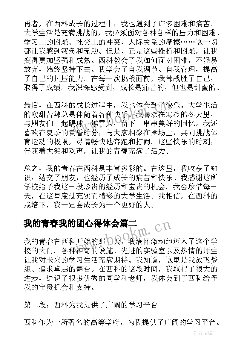 我的青春我的团心得体会(实用8篇)