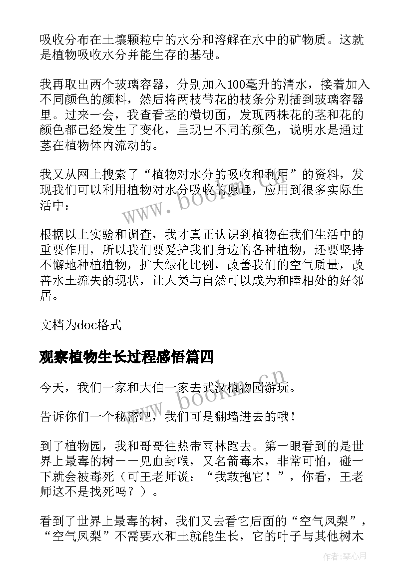 2023年观察植物生长过程感悟(优秀5篇)