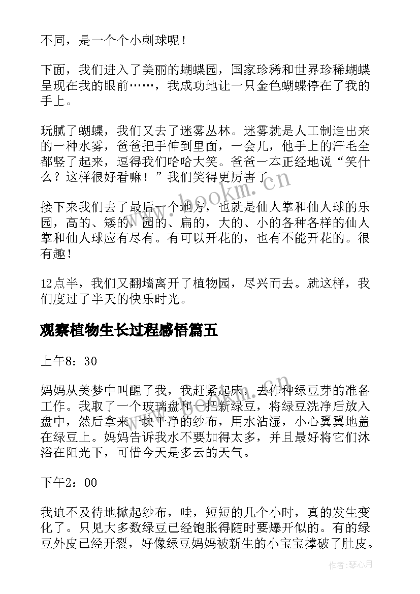 2023年观察植物生长过程感悟(优秀5篇)