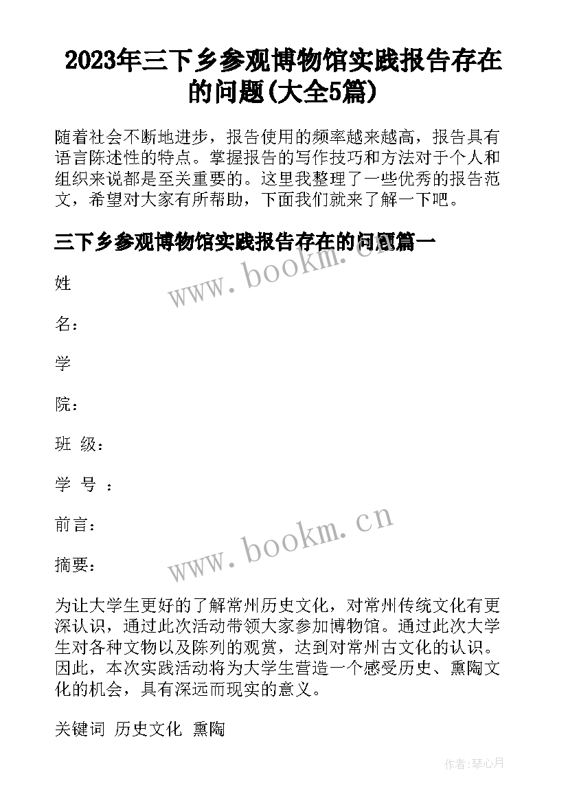 2023年三下乡参观博物馆实践报告存在的问题(大全5篇)