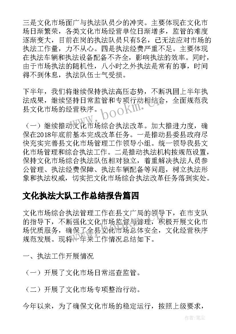 文化执法大队工作总结报告(模板5篇)