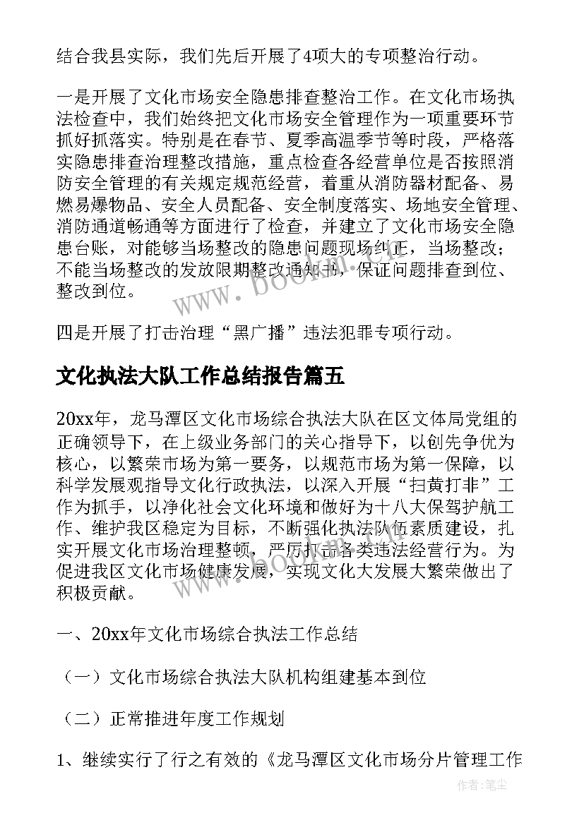 文化执法大队工作总结报告(模板5篇)