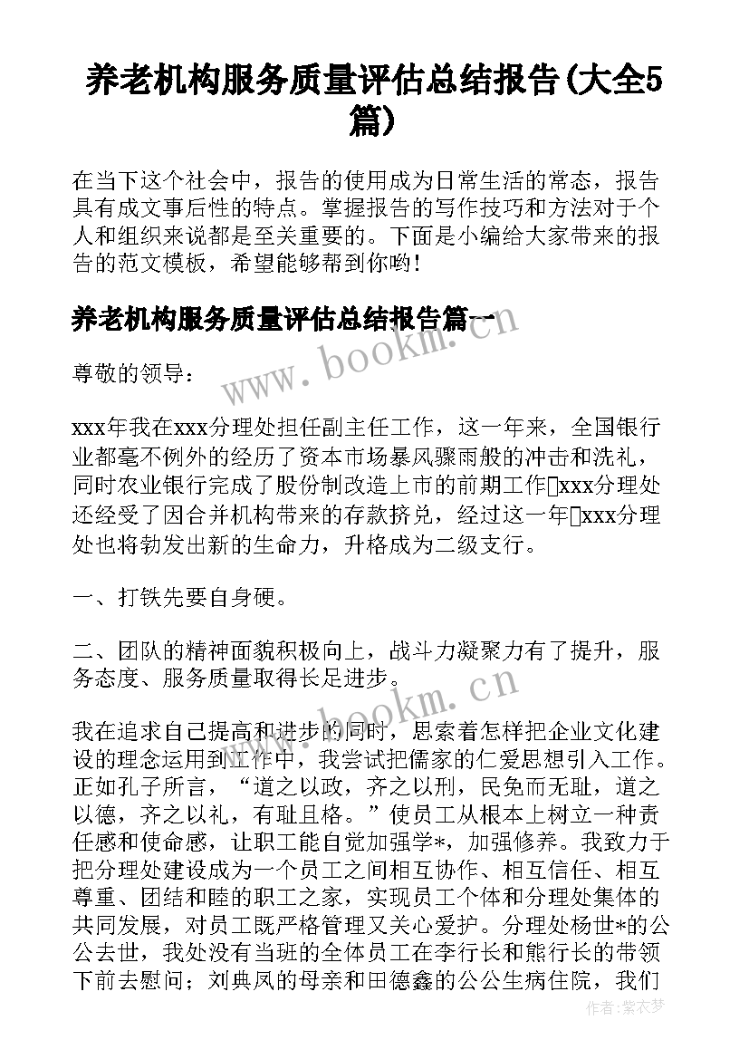 养老机构服务质量评估总结报告(大全5篇)