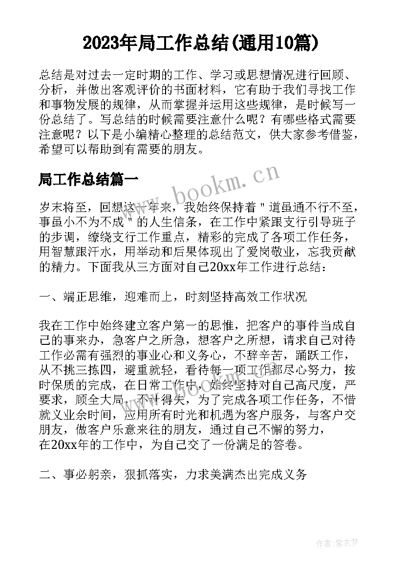 2023年局工作总结(通用10篇)