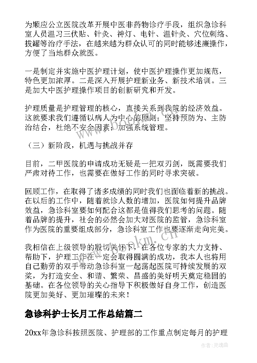 2023年急诊科护士长月工作总结(精选5篇)