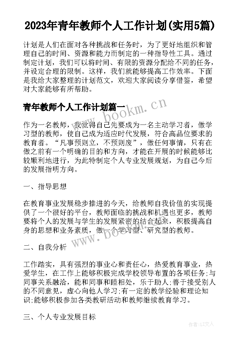 2023年青年教师个人工作计划(实用5篇)