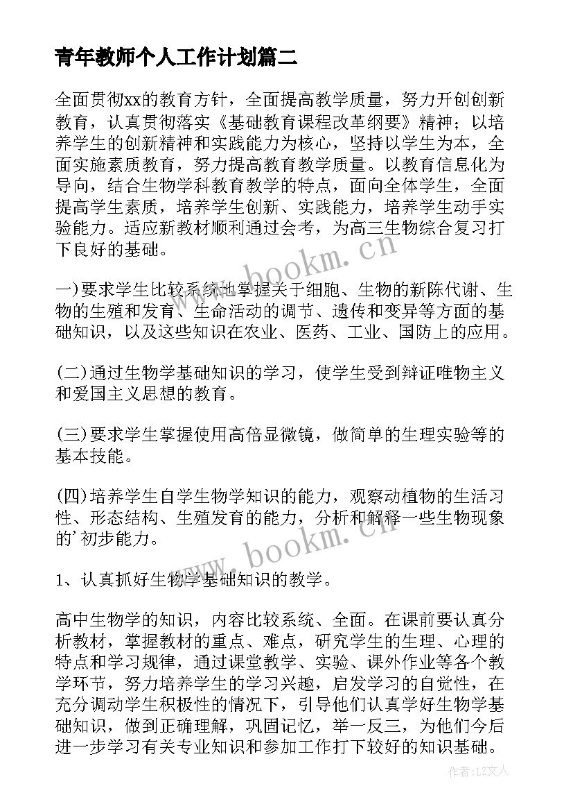 2023年青年教师个人工作计划(实用5篇)