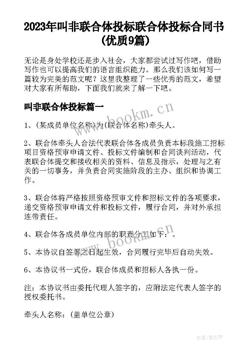 2023年叫非联合体投标 联合体投标合同书(优质9篇)