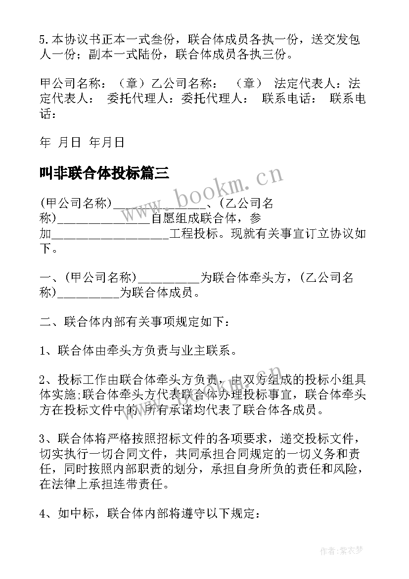 2023年叫非联合体投标 联合体投标合同书(优质9篇)