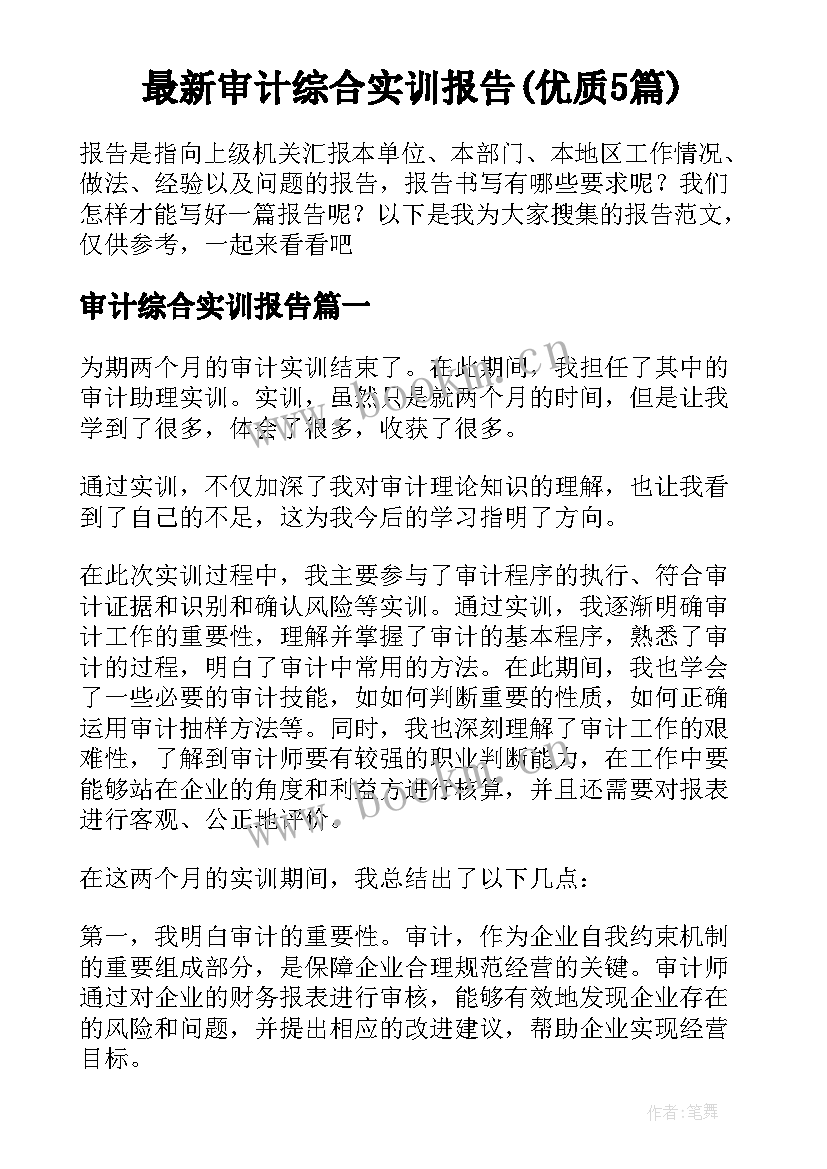 最新审计综合实训报告(优质5篇)