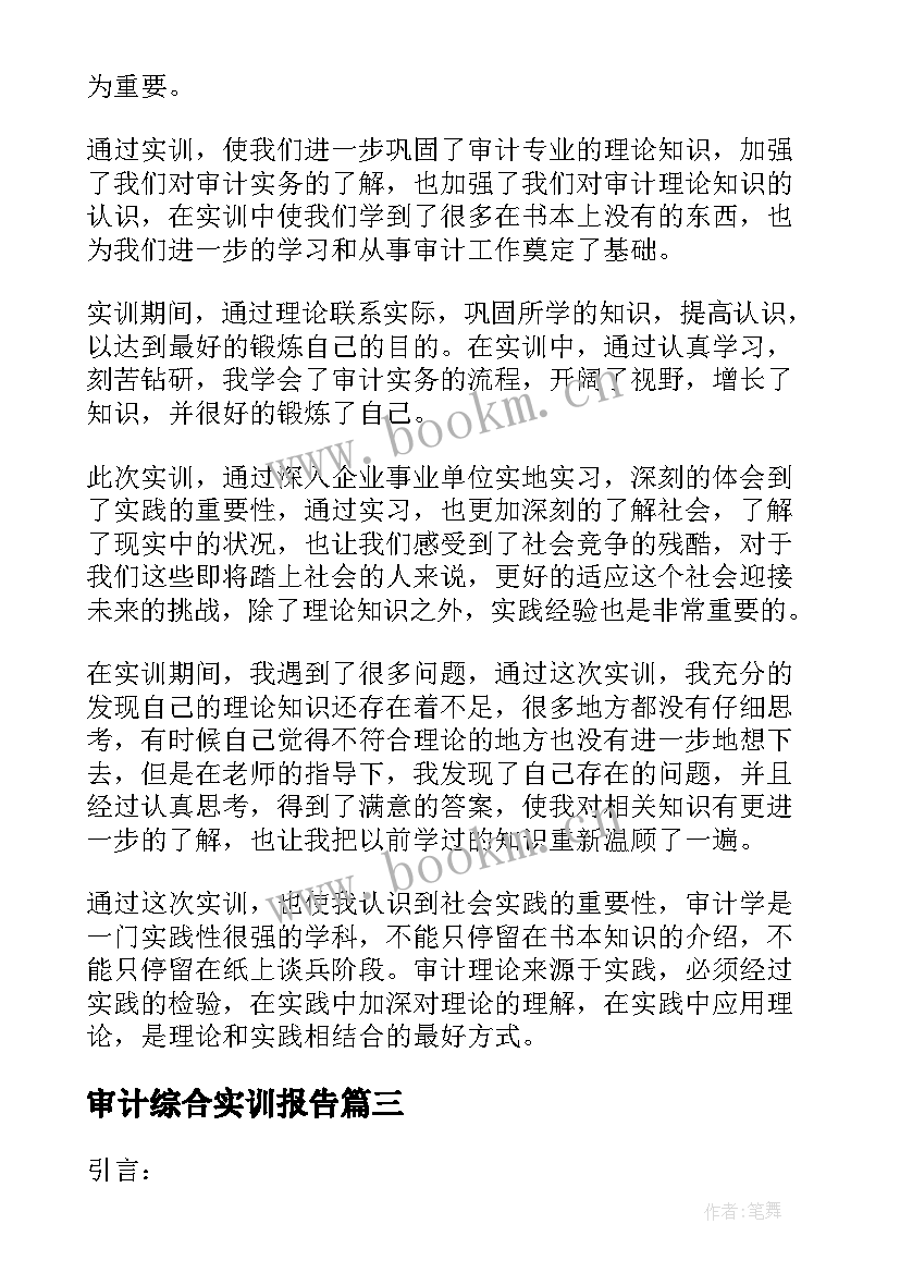 最新审计综合实训报告(优质5篇)