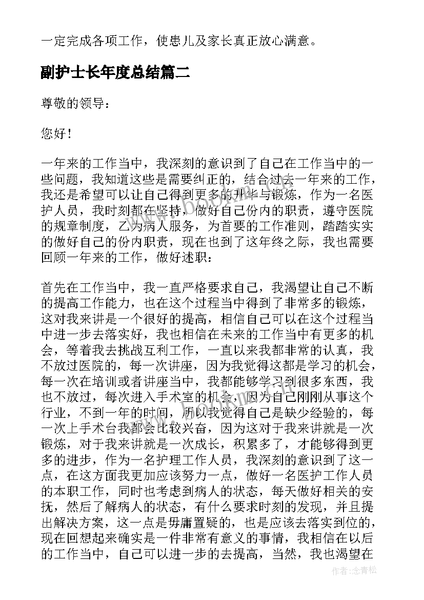 2023年副护士长年度总结(汇总9篇)