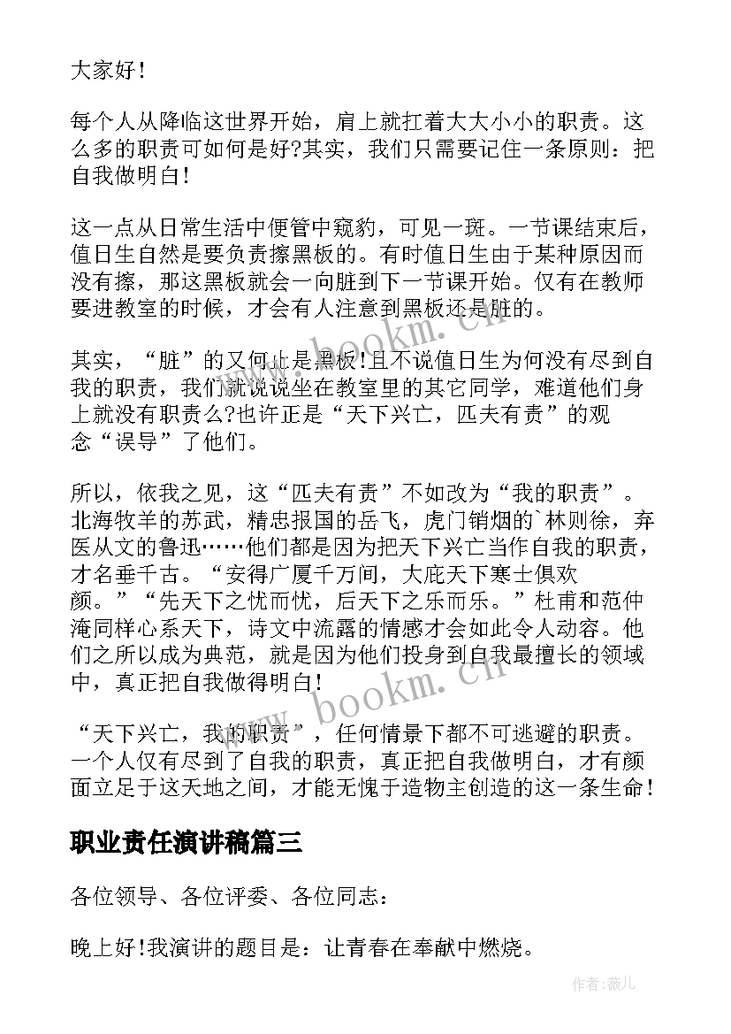 2023年职业责任演讲稿(汇总9篇)