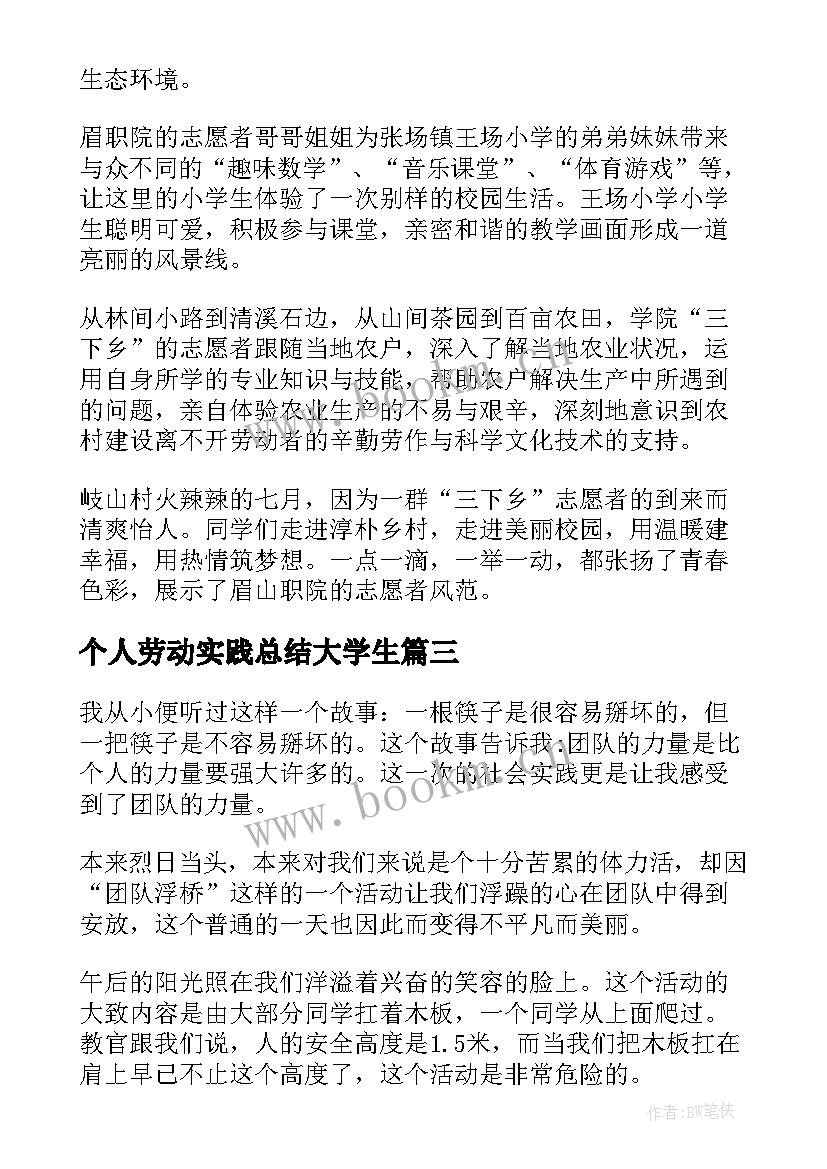 最新个人劳动实践总结大学生 大学生个人劳动实践总结(优质5篇)