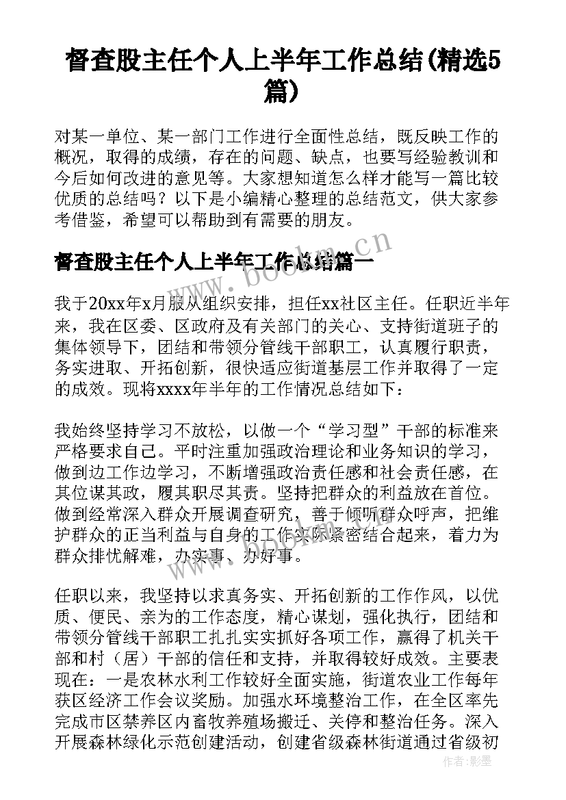 督查股主任个人上半年工作总结(精选5篇)