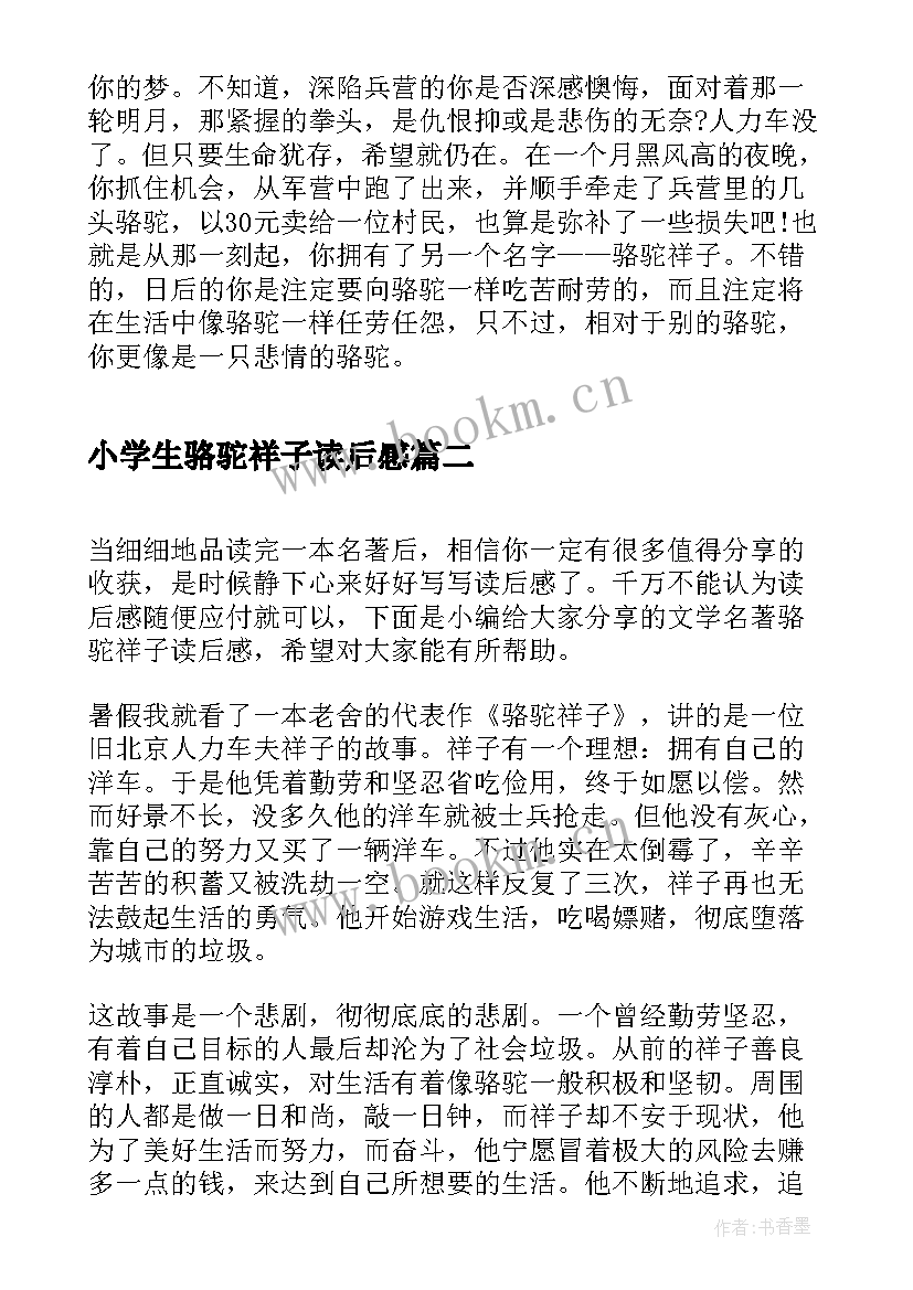 2023年小学生骆驼祥子读后感(模板6篇)