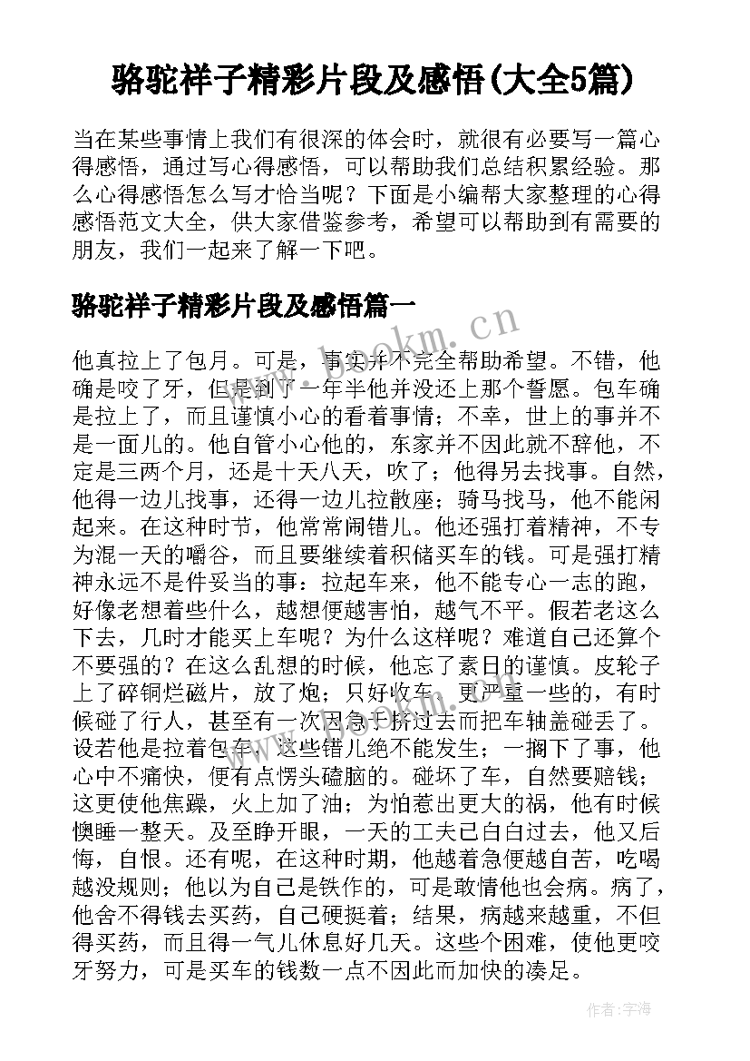 骆驼祥子精彩片段及感悟(大全5篇)