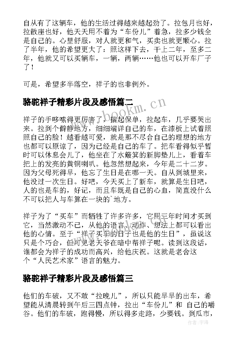 骆驼祥子精彩片段及感悟(大全5篇)