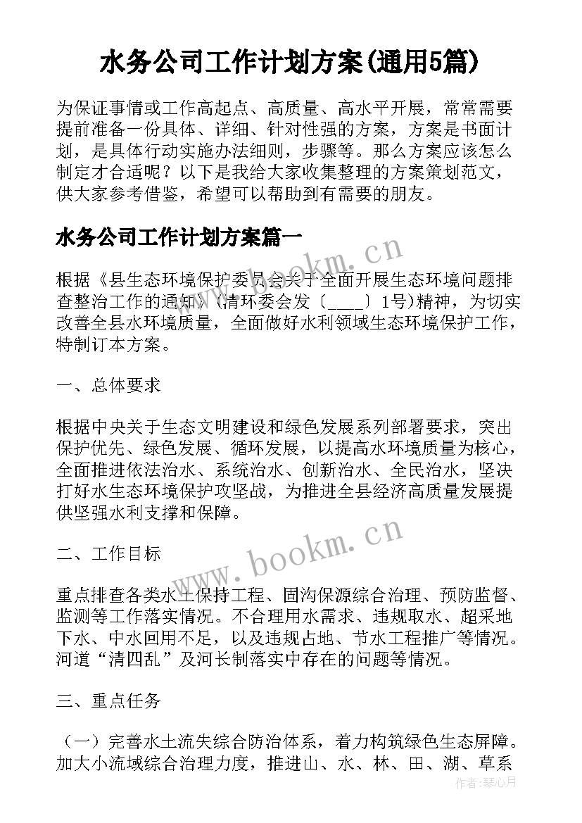 水务公司工作计划方案(通用5篇)