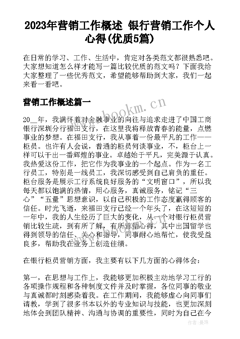 2023年营销工作概述 银行营销工作个人心得(优质5篇)