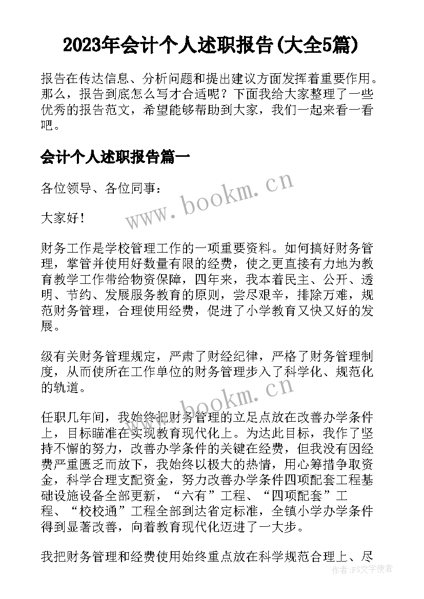 2023年会计个人述职报告(大全5篇)