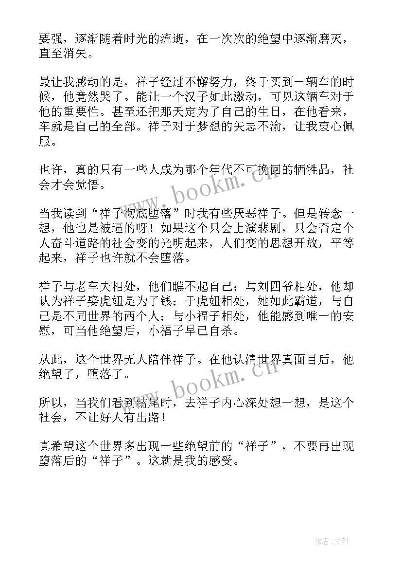 最新骆驼祥子的读书收获及反思 骆驼祥子个人读后感(精选8篇)