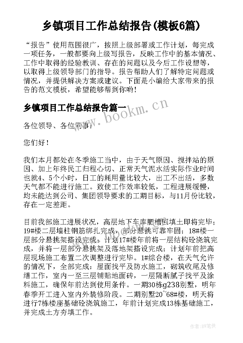 乡镇项目工作总结报告(模板6篇)