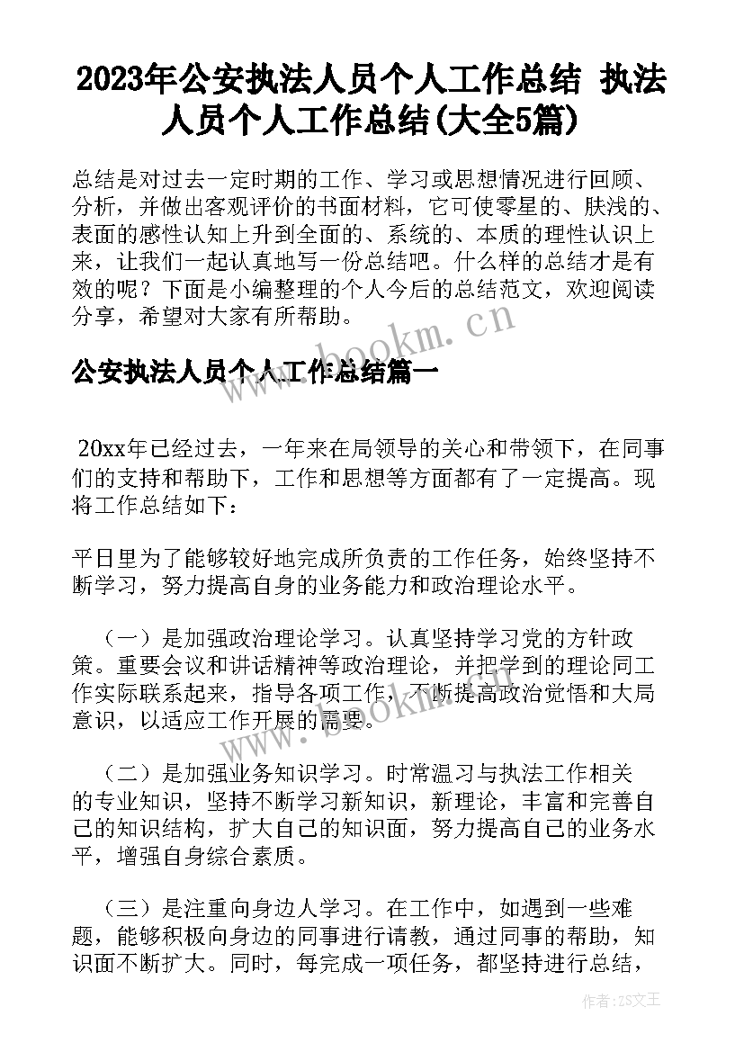 2023年公安执法人员个人工作总结 执法人员个人工作总结(大全5篇)