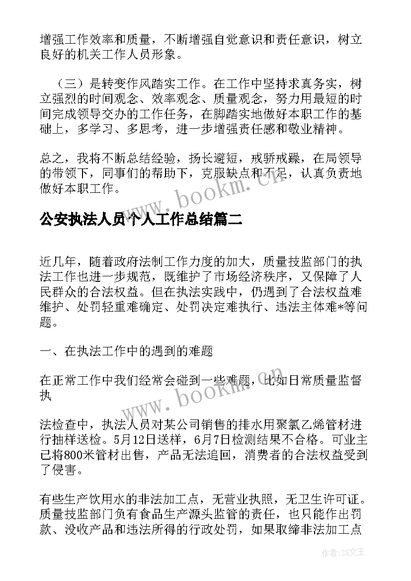 2023年公安执法人员个人工作总结 执法人员个人工作总结(大全5篇)