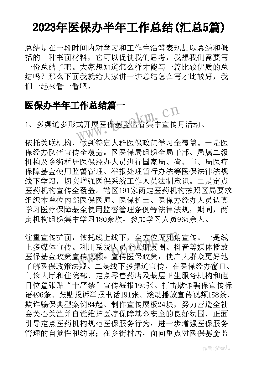 2023年医保办半年工作总结(汇总5篇)