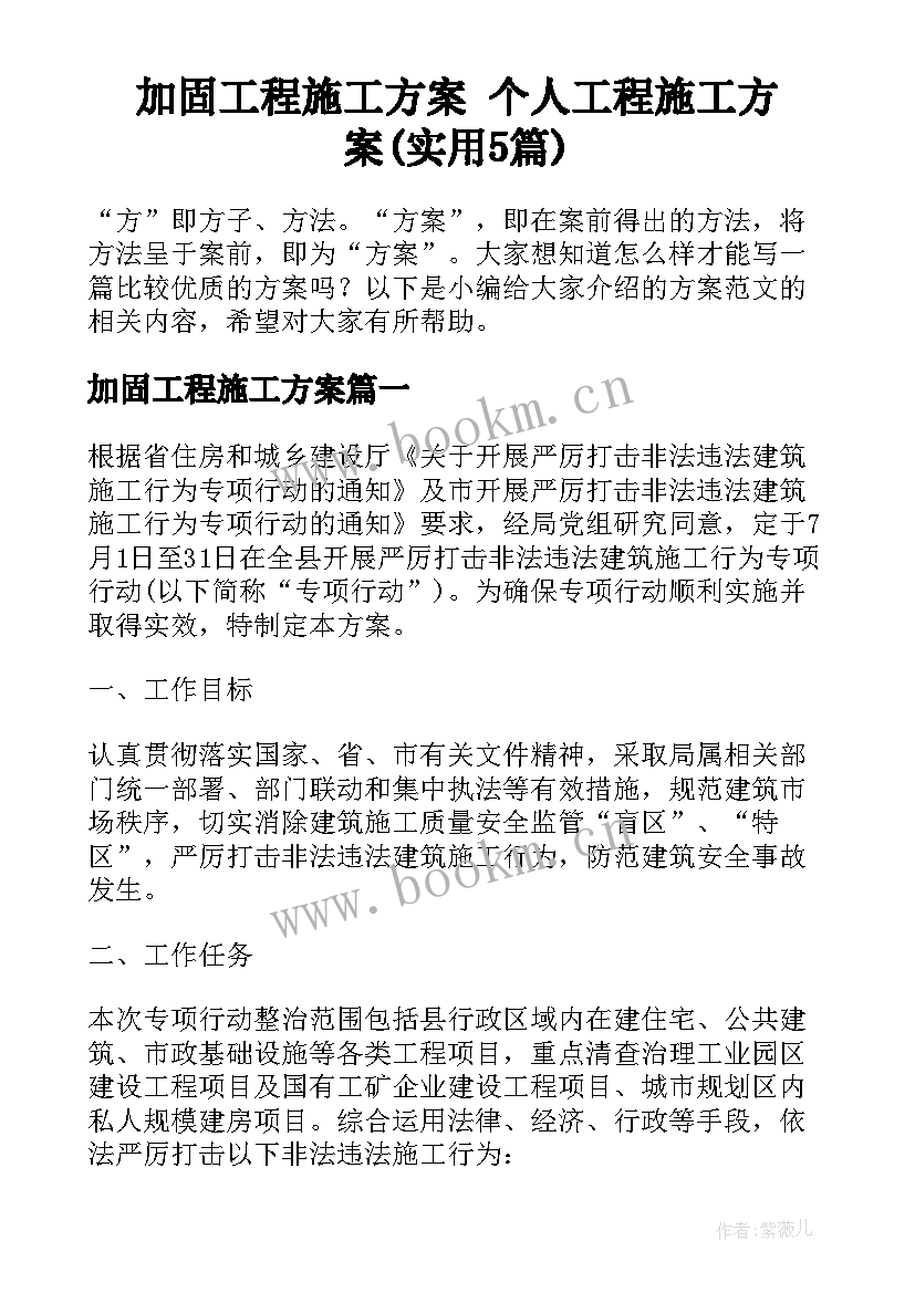 加固工程施工方案 个人工程施工方案(实用5篇)