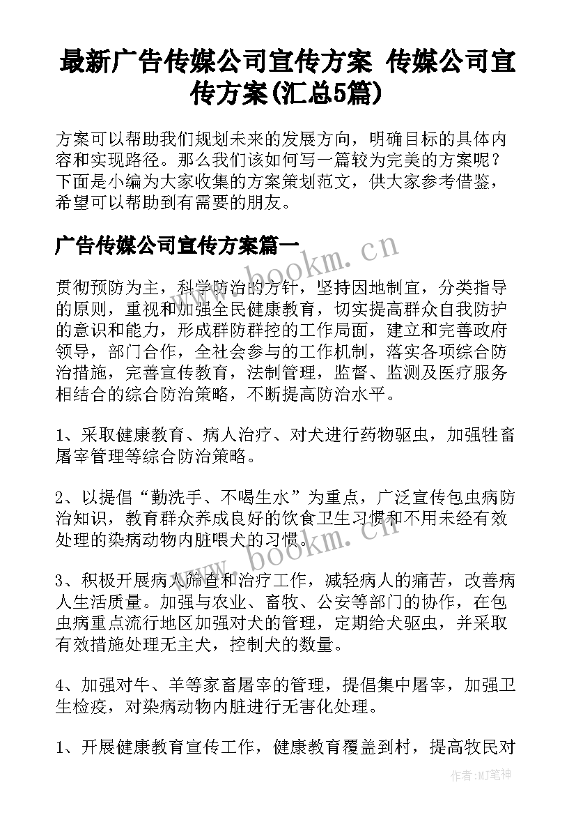 最新广告传媒公司宣传方案 传媒公司宣传方案(汇总5篇)