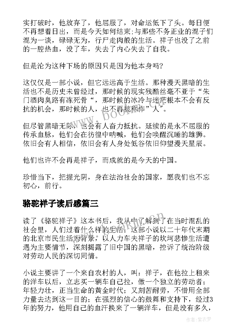 2023年骆驼祥子读后感 高中骆驼祥子读后感(通用10篇)