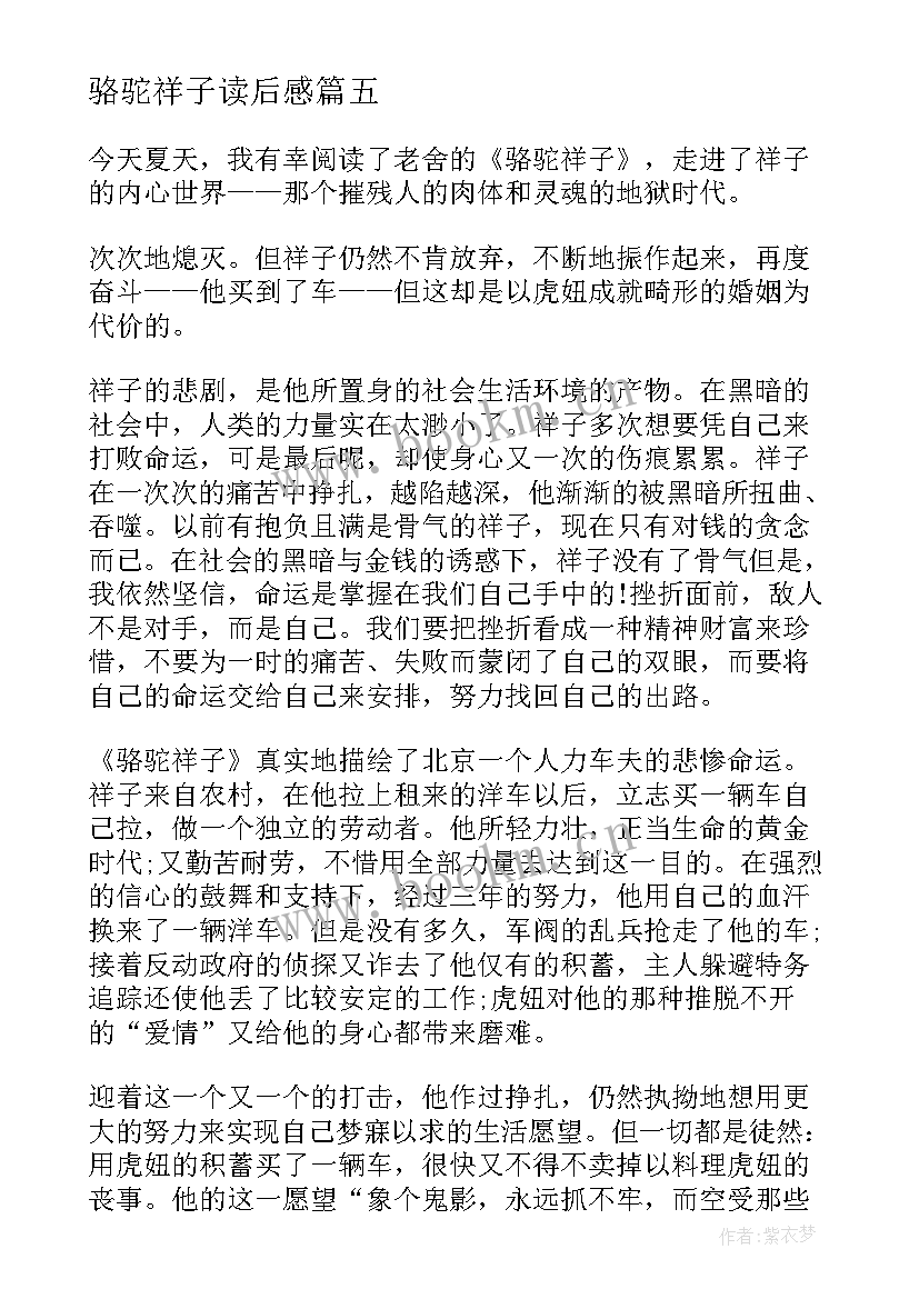 2023年骆驼祥子读后感 高中骆驼祥子读后感(通用10篇)