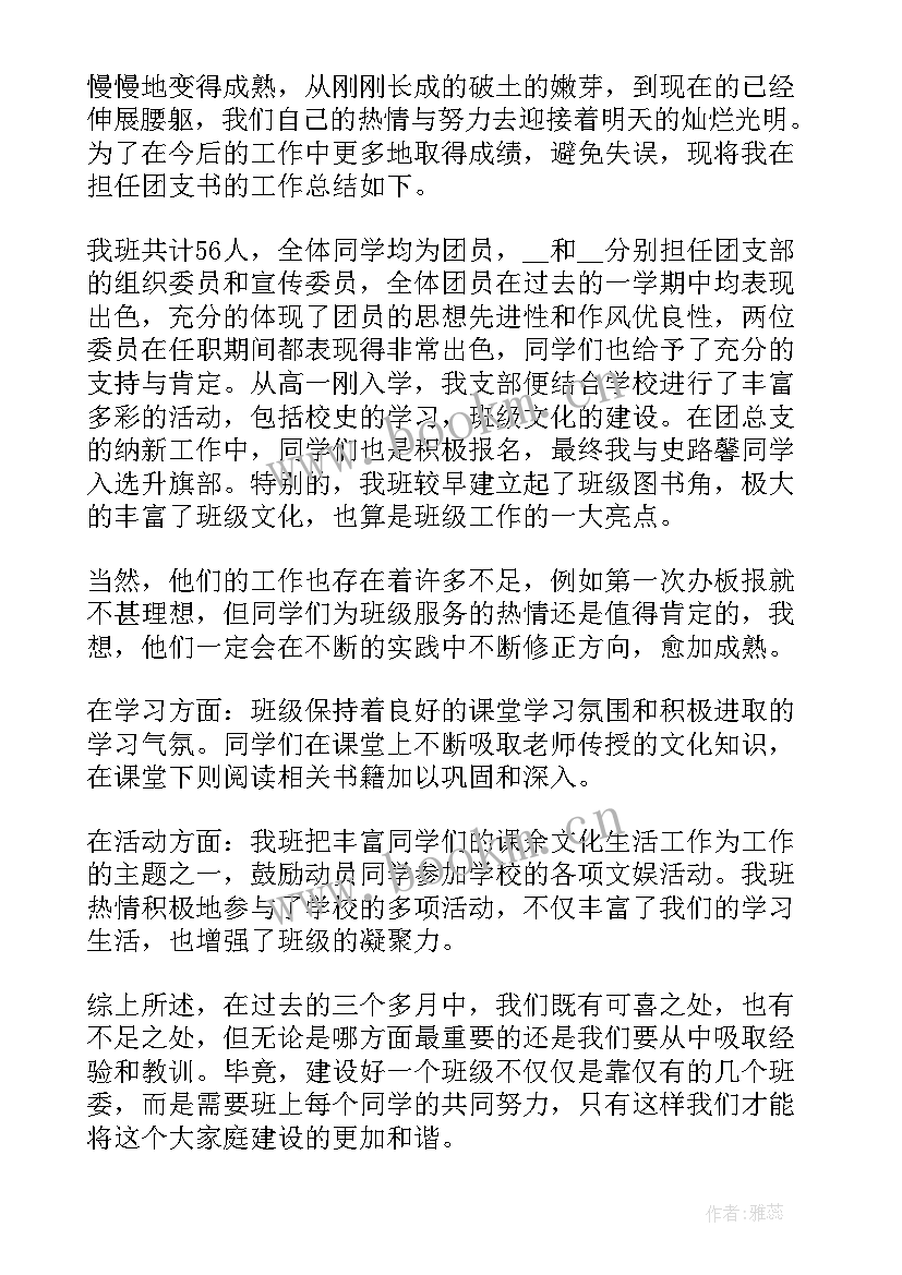 村委团支书述职报告(优秀5篇)