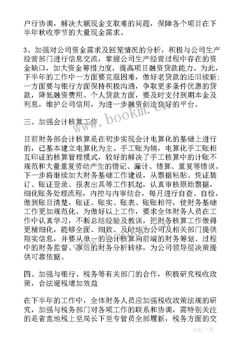 2023年财务半年度工作总结及下半年工作计划(精选9篇)