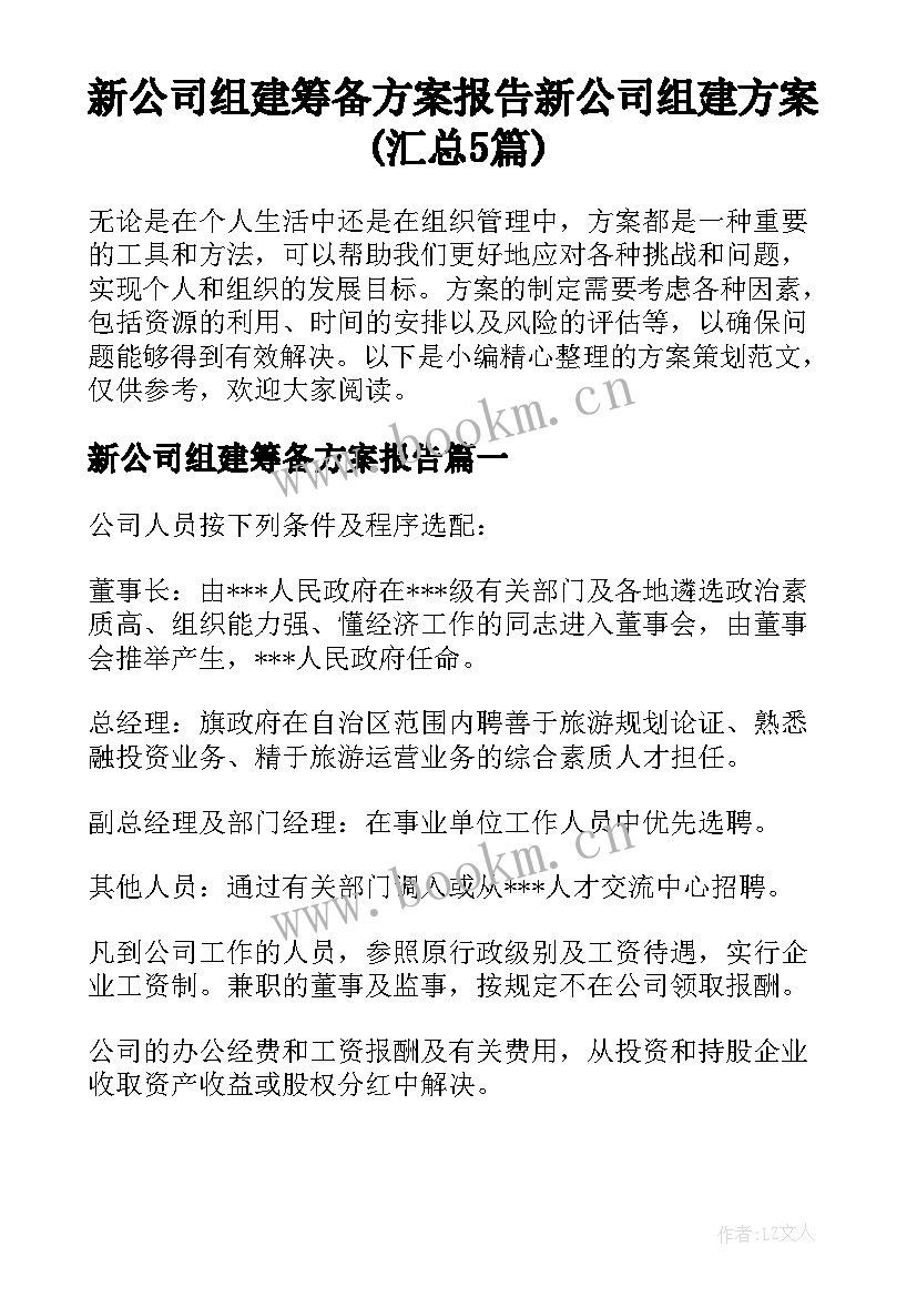 新公司组建筹备方案报告 新公司组建方案(汇总5篇)