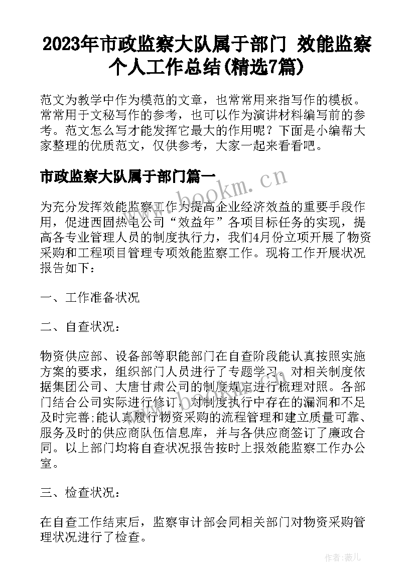 2023年市政监察大队属于部门 效能监察个人工作总结(精选7篇)